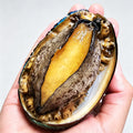 Frozen Raw Large Abalone